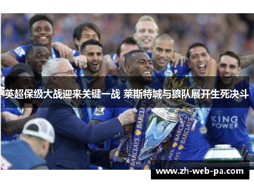 英超保级大战迎来关键一战 莱斯特城与狼队展开生死决斗