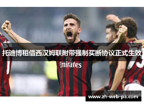 托迪博租借西汉姆联附带强制买断协议正式生效 托迪博租借西汉姆联附带强制买断协议正式生效